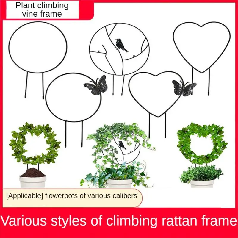 Geometric Plant Climbing Frame Creative Geometric Modeling Design Potted Garden Household Flower Arrangement Care Plant Cages
Geometric Plant Climbing Frame Creative Geometric Modeling Design Potted Garden Household Flower Arrangement Care Plant Cages