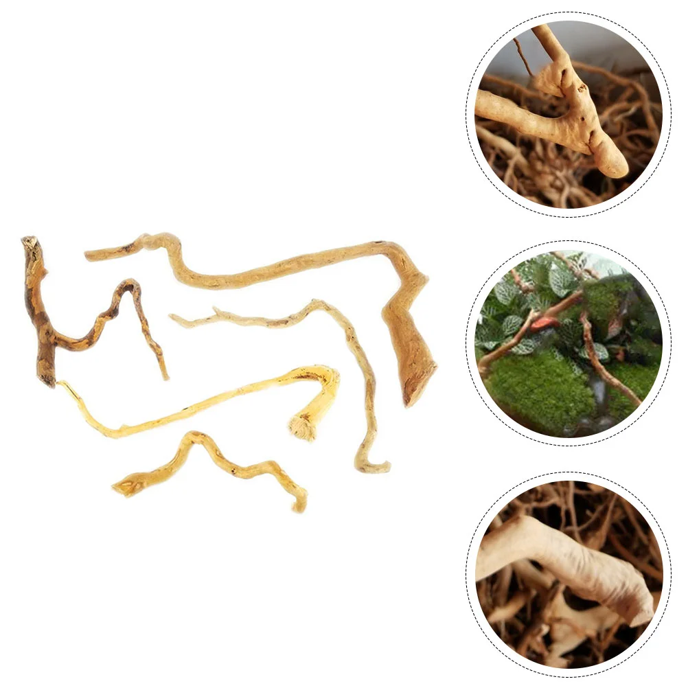 Driftwood Tank Aquarium Decorwood Rootaquatic Decoration Reptile Ornamentisland Logs Turtle Branches Underwater Supplies
Driftwood Tank Aquarium Decorwood Rootaquatic Decoration Reptile Ornamentisland Logs Turtle Branches Underwater Supplies