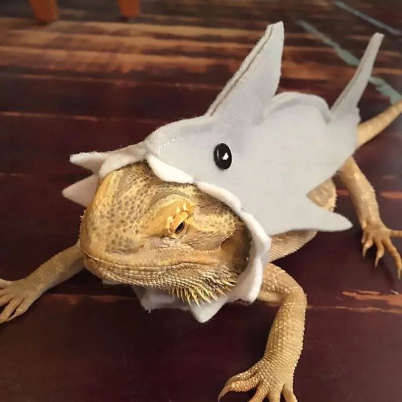 

Cute Shark Shape Lizard Chameleon Shark Clothes Small Pet Clothes Gecko Costume for Bearded Dragon Reptiles Clothes Accessories