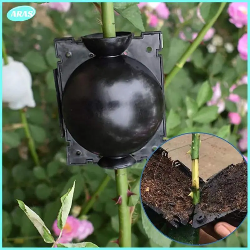 High-pressure Plant Breeding Ball Reusable Plant Root Growing Box Agricultural Gardening Large Medium And Small
High-pressure Plant Breeding Ball Reusable Plant Root Growing Box Agricultural Gardening Large Medium And Small