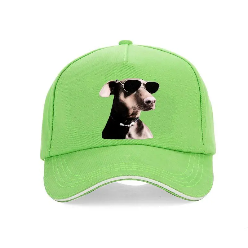 Gorra de béisbol Hipster para hombre, sombrero de béisbol con estampado de perro en 3D, color marrón y Dachshund, ropa de verano
Gorra de béisbol Hipster para hombre, sombrero de béisbol con estampado de perro en 3D, color marrón y Dachshund, ropa de verano
