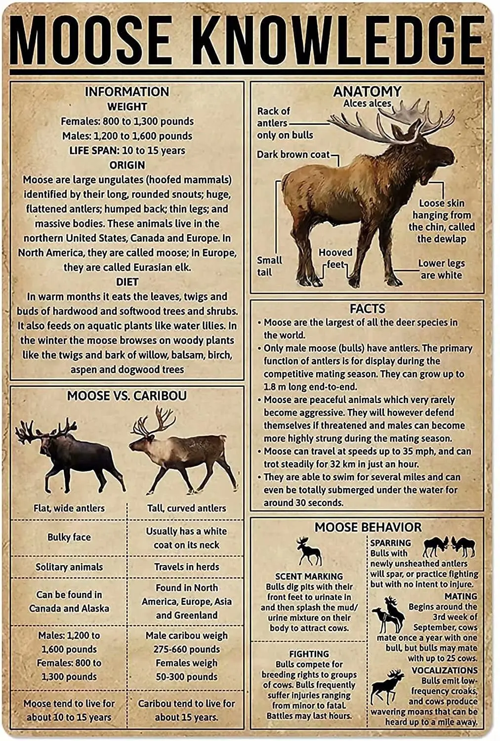 Moose Knowledge Metal Tin Sign,Wall Panel Retro Art Decor for Home Bedroom Bar Cafe Farm 8x12 Inch
Moose Knowledge Metal Tin Sign,Wall Panel Retro Art Decor for Home Bedroom Bar Cafe Farm 8x12 Inch