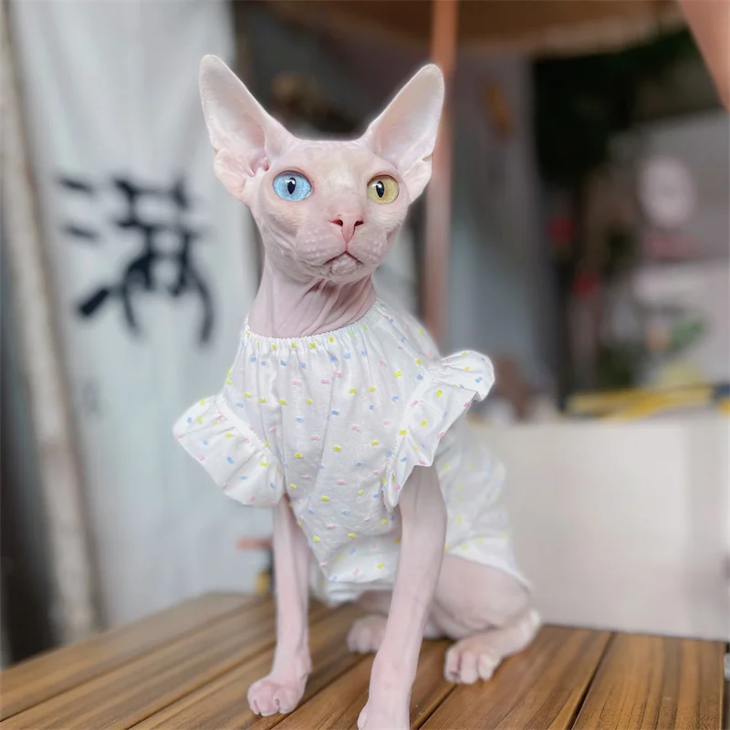 Clothes for Sphints Soft Cotton Dress For Sphnx Cat Cute Ruffled Sleeves Coat for Kittens Dogs Sweet Skirt for Devon Pet Items
Clothes for Sphints Soft Cotton Dress For Sphnx Cat Cute Ruffled Sleeves Coat for Kittens Dogs Sweet Skirt for Devon Pet Items