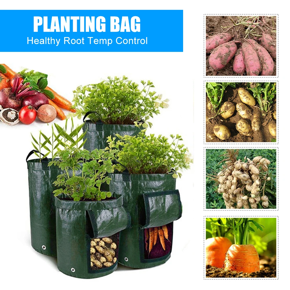 Plant Growth Bag Potato Tomato Vegetable PE Planting Bag For Balcony Garden Utdoor Green Plant Flowers Vegetables Planting
Plant Growth Bag Potato Tomato Vegetable PE Planting Bag For Balcony Garden Utdoor Green Plant Flowers Vegetables Planting