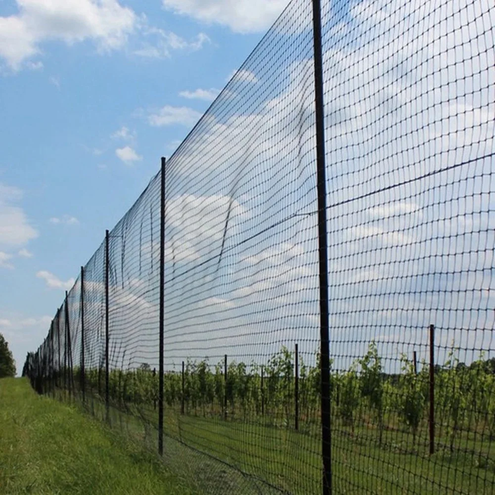 Black Nylon Anti Bird Net Netting Mesh for Fruit Crop Plant Tree Bird-Preventing Netting 15X7.5M
Black Nylon Anti Bird Net Netting Mesh for Fruit Crop Plant Tree Bird-Preventing Netting 15X7.5M