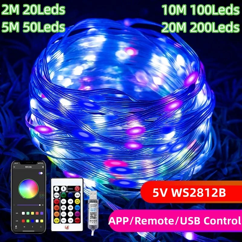 5V USB WS2812 LED String APP Remote Led Fairy Lights Dreamcolor RGBIC Addressable Party Christmas Lights Wedding Decoration IP67
5V USB WS2812 LED String APP Remote Led Fairy Lights Dreamcolor RGBIC Addressable Party Christmas Lights Wedding Decoration IP67