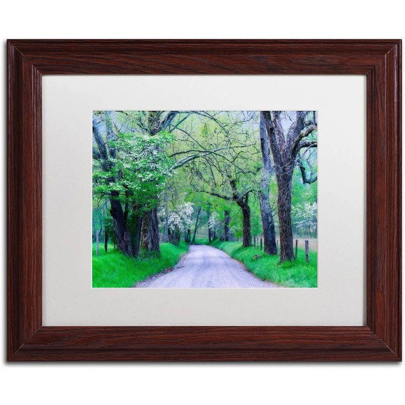 "Cades Cove Lane" Canvas Art by Michael Blanchette Photography White Matte, Wood Frame
"Cades Cove Lane" Canvas Art by Michael Blanchette Photography White Matte, Wood Frame