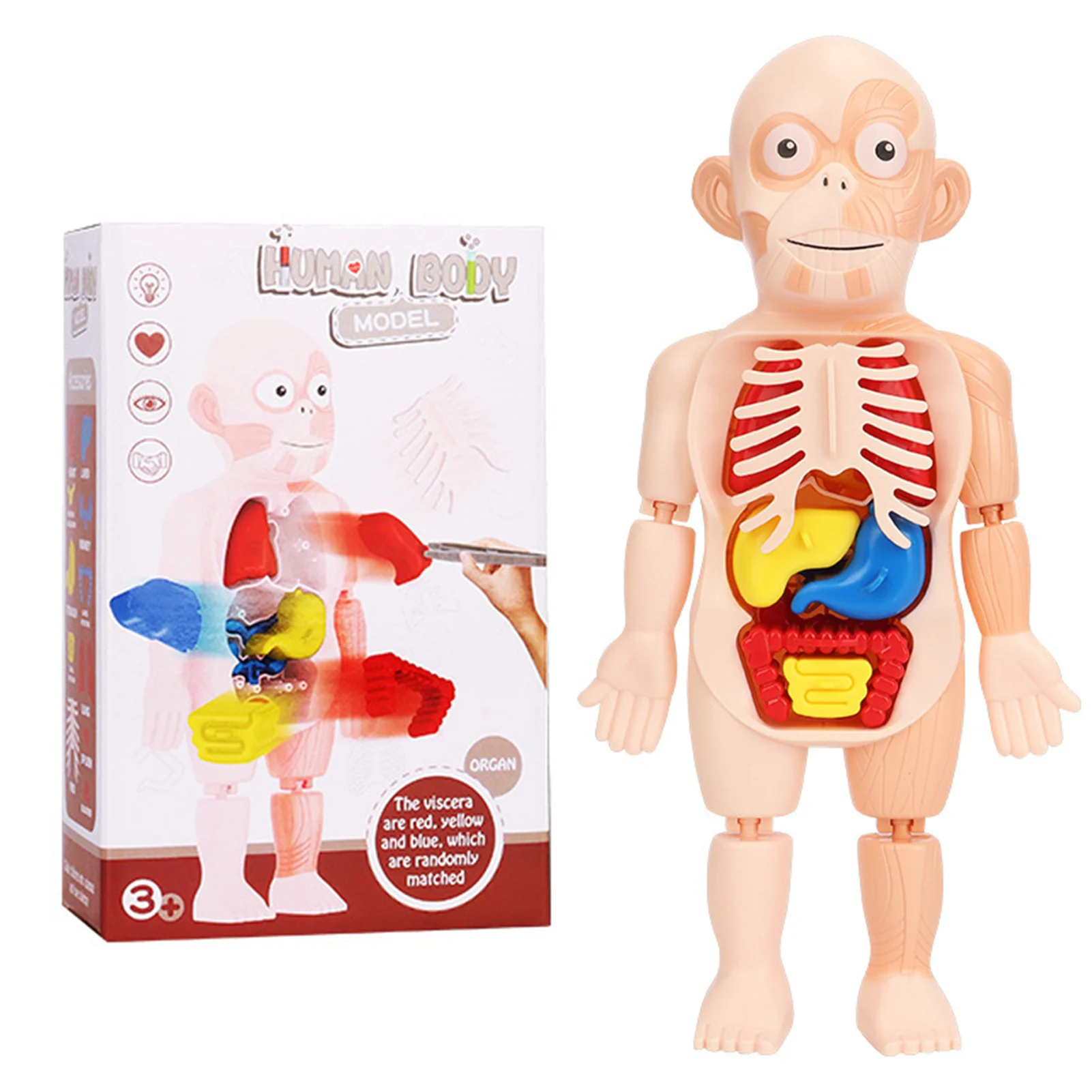 DIY Assembled Scientific Toys Intriguing Educational Learning Toys Christmas Thanksgiving Birthday Gift AN88
DIY Assembled Scientific Toys Intriguing Educational Learning Toys Christmas Thanksgiving Birthday Gift AN88