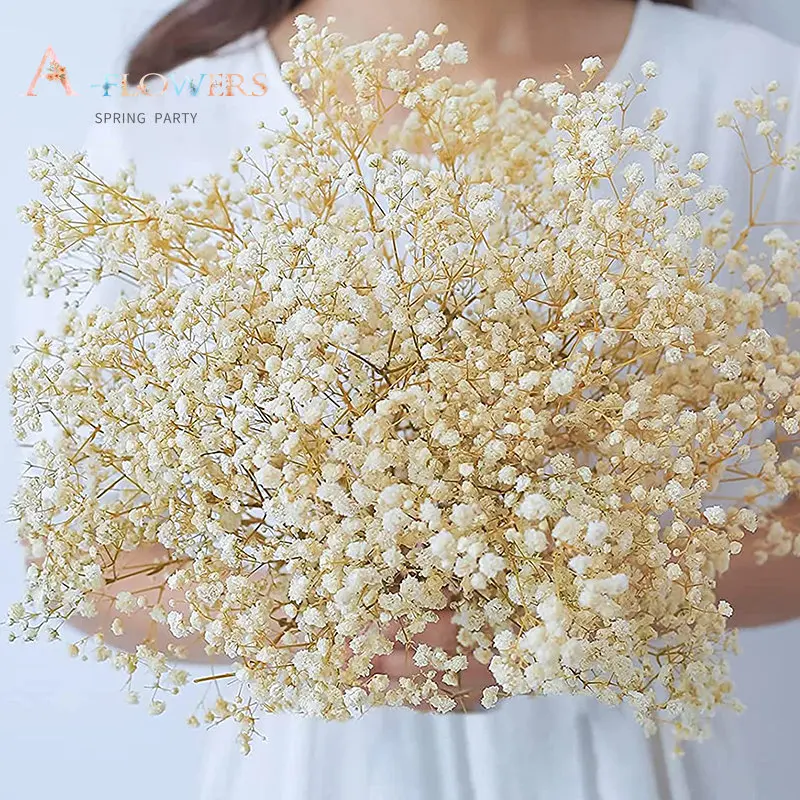 100g Natural Baby's Breath Dried Flowers Bouquet Wedding Decoration Garden Party Colorful Gypsophile Boho Home Decor Artificial
100g Natural Baby's Breath Dried Flowers Bouquet Wedding Decoration Garden Party Colorful Gypsophile Boho Home Decor Artificial