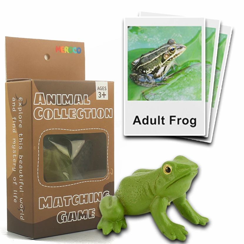 Доска Монтессори для животных с жизненным циклом, Монтессори, сенсорный материал, биология, научные педагогические игры для детей 3 лет B44W 
Доска Монтессори для животных с жизненным циклом, Монтессори, сенсорный материал, биология, научные педагогические игры для детей 3 лет B44W