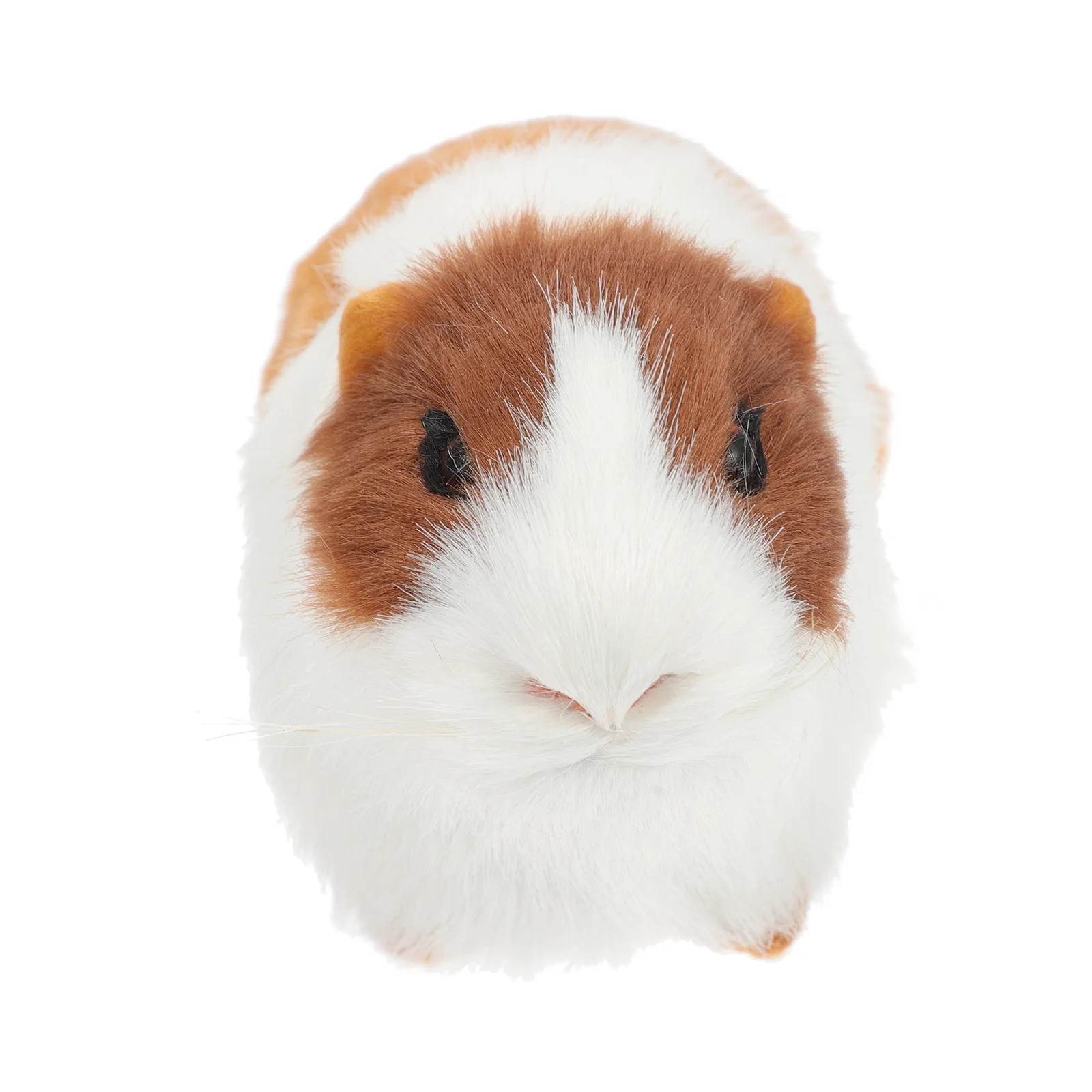 Guinea Ornament Realistic Synthetic Fur Plush Stuffed Animals Simulated Artificial Student
Guinea Ornament Realistic Synthetic Fur Plush Stuffed Animals Simulated Artificial Student
