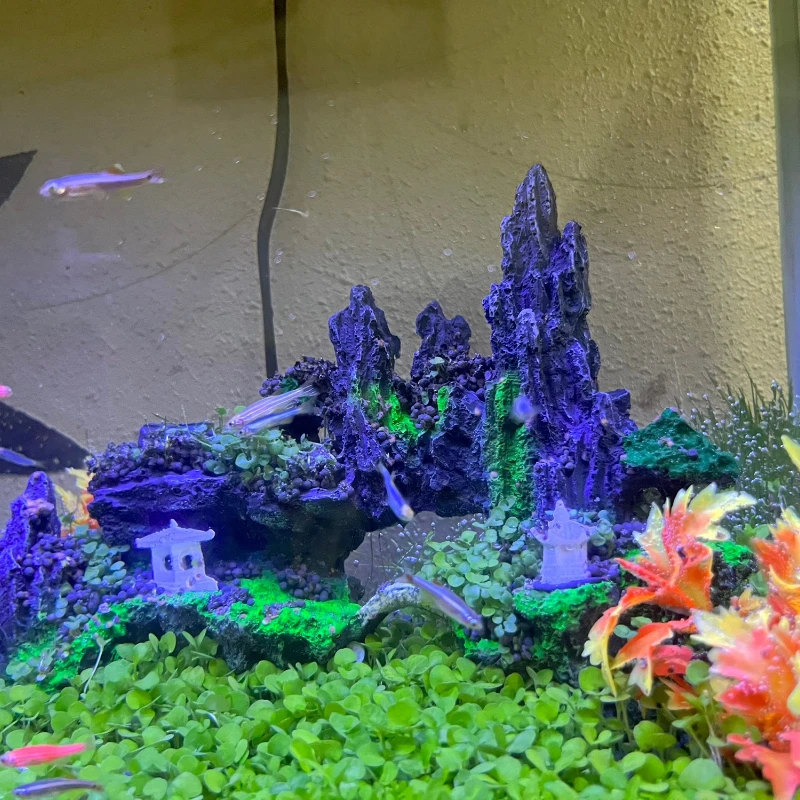 Aquarium Plants Fish tank Decoration Aquarium Background Accessoires Quickly Landscaping Aquatic Plants Aerobics Fish Breeding
Aquarium Plants Fish tank Decoration Aquarium Background Accessoires Quickly Landscaping Aquatic Plants Aerobics Fish Breeding