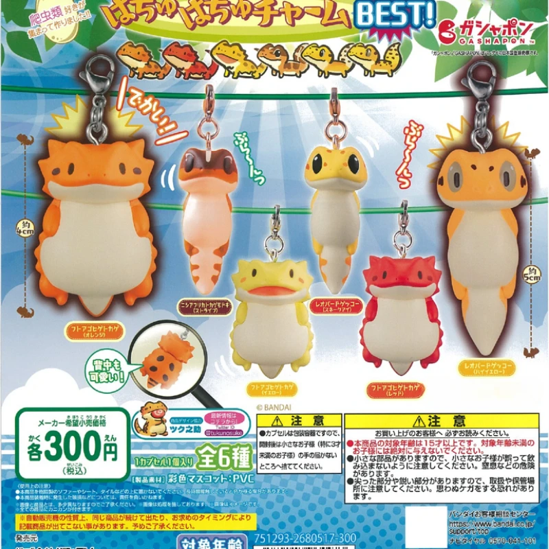 Original Gashapon Toys BEST Cute Kawaii Lizard Chameleon Crawling Animal Collectible Pendant Ornament Kids Gifts
Original Gashapon Toys BEST Cute Kawaii Lizard Chameleon Crawling Animal Collectible Pendant Ornament Kids Gifts