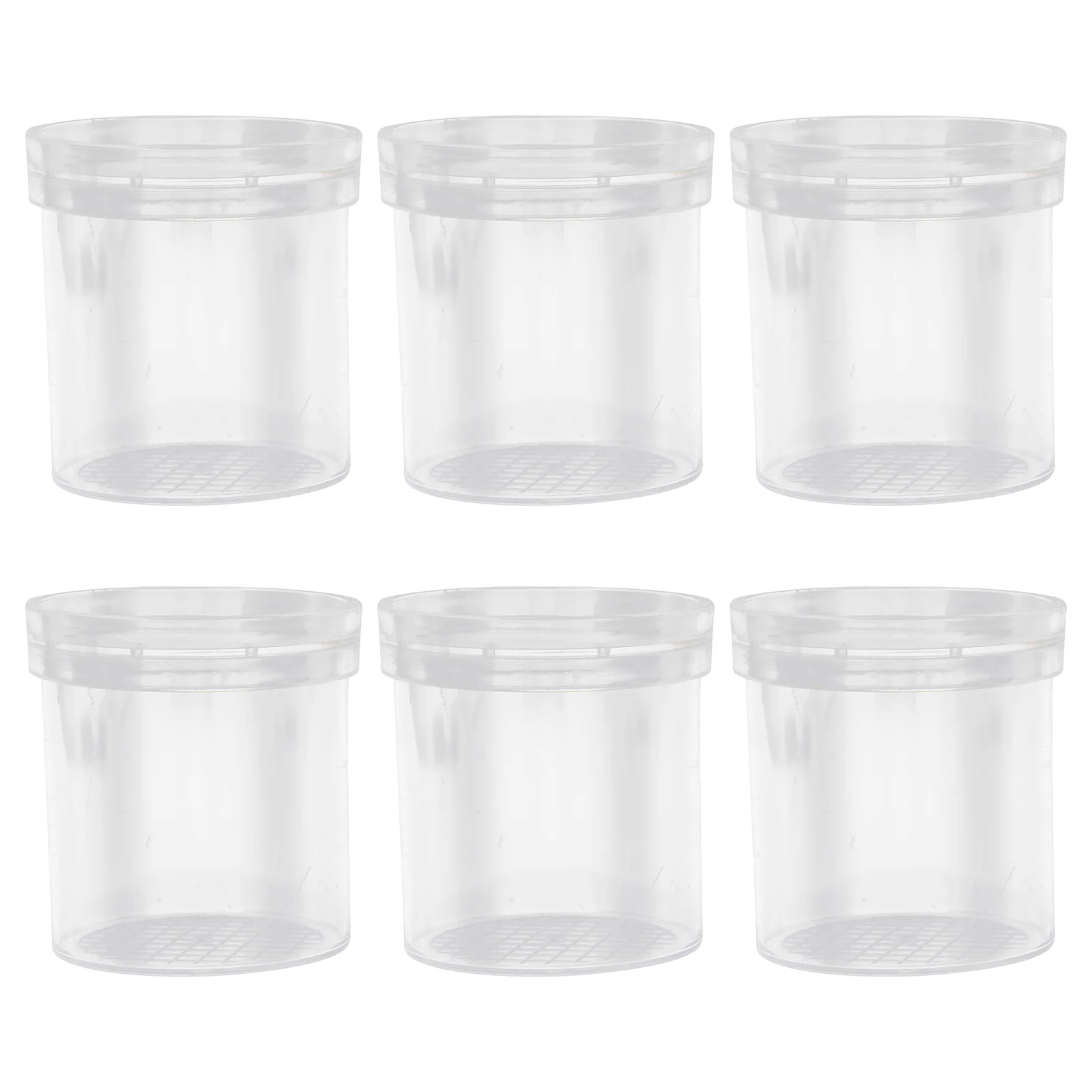 Insect Bug Viewer Kids Box Magnifying Cage Jar Catcher Magnifier Cup Reptile Collection Critter Container Collecting Exploration
Insect Bug Viewer Kids Box Magnifying Cage Jar Catcher Magnifier Cup Reptile Collection Critter Container Collecting Exploration