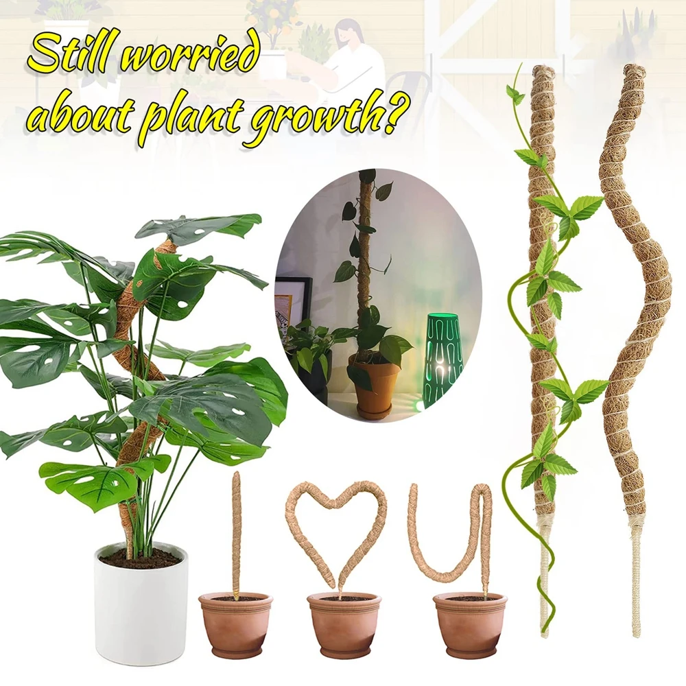 2024 New For Moss Totem Pole, Plant Support Coir Moss Pole for Climbing Plants, Collapsible Plant Support Sticks , Monstera Grow
2024 New For Moss Totem Pole, Plant Support Coir Moss Pole for Climbing Plants, Collapsible Plant Support Sticks , Monstera Grow