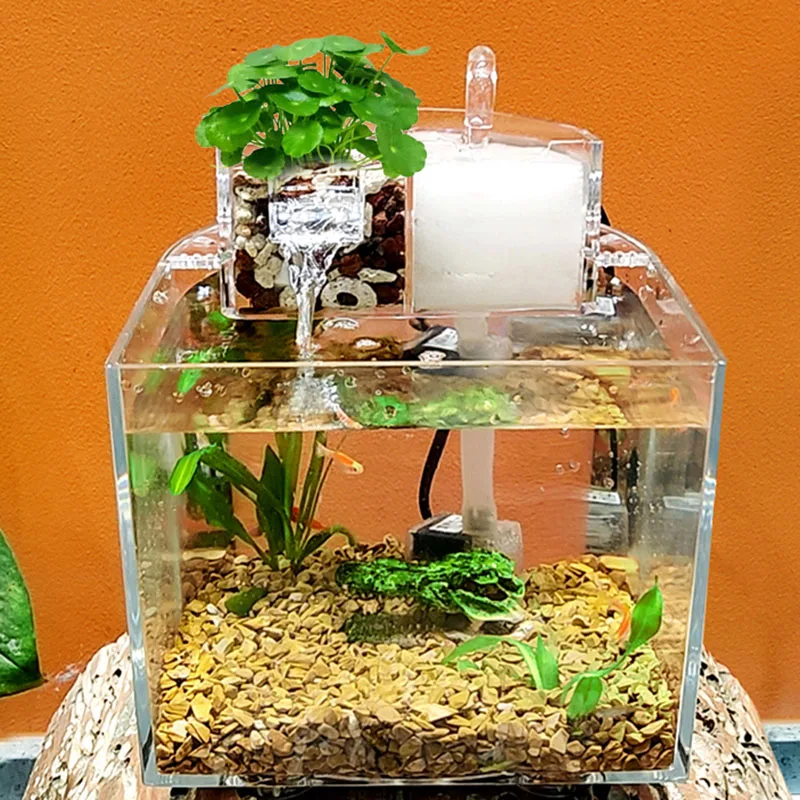 Plastic Fish Box Bonsai Betta Pond Shrimp Aquascaping Turtle Live Fish Breeding Incubator Akwarium Zbiornik Decoration Aquarium
Plastic Fish Box Bonsai Betta Pond Shrimp Aquascaping Turtle Live Fish Breeding Incubator Akwarium Zbiornik Decoration Aquarium