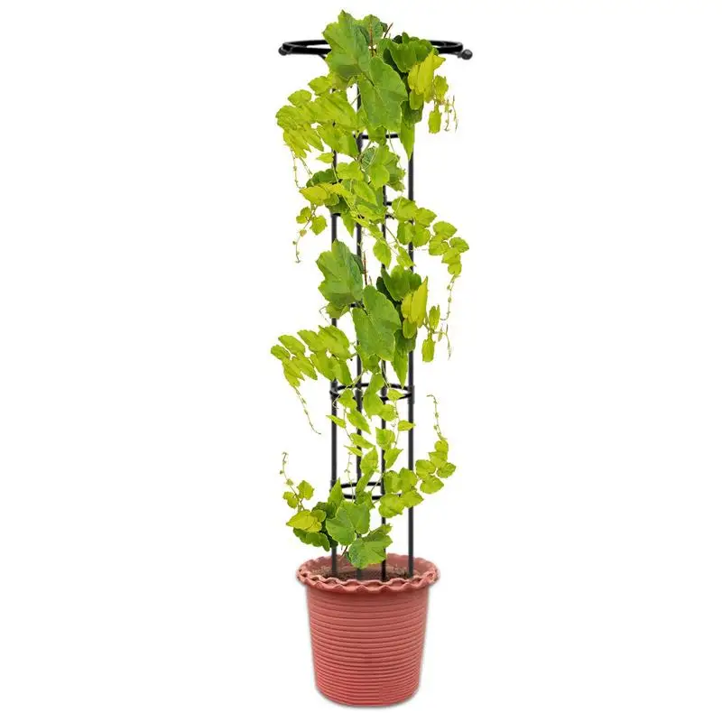 Plant Climbing Frame Plant Trellis Supporting Stick Plastic Moss Pole Indoor Plant Pot Stand Green Dill Vine Garden Accessories
Plant Climbing Frame Plant Trellis Supporting Stick Plastic Moss Pole Indoor Plant Pot Stand Green Dill Vine Garden Accessories
