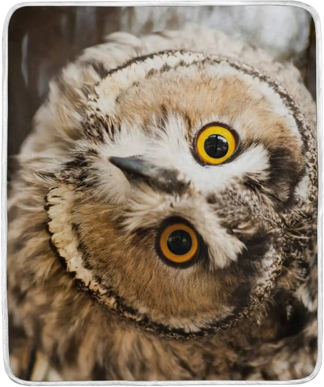 All Season Warm Throws and Blankets Big Yellow Eyed Funny Owl Crystal Velvet Blanket Throws for Couch Soft Decor Blanket for Bed
All Season Warm Throws and Blankets Big Yellow Eyed Funny Owl Crystal Velvet Blanket Throws for Couch Soft Decor Blanket for Bed