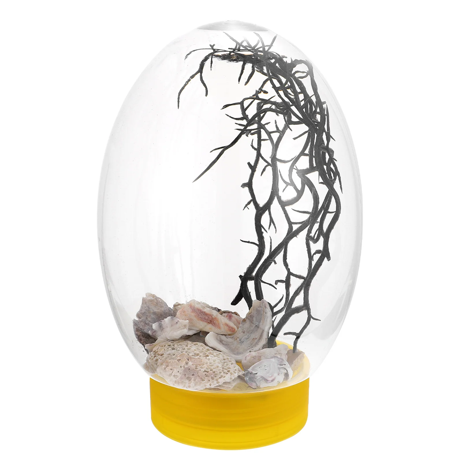 Tankaquarium Led Desktop Betta Bowl Lighting Miniwith Goldfish Clearecological Round Bottle Tabletop Tiny Decorative Raiser
Tankaquarium Led Desktop Betta Bowl Lighting Miniwith Goldfish Clearecological Round Bottle Tabletop Tiny Decorative Raiser