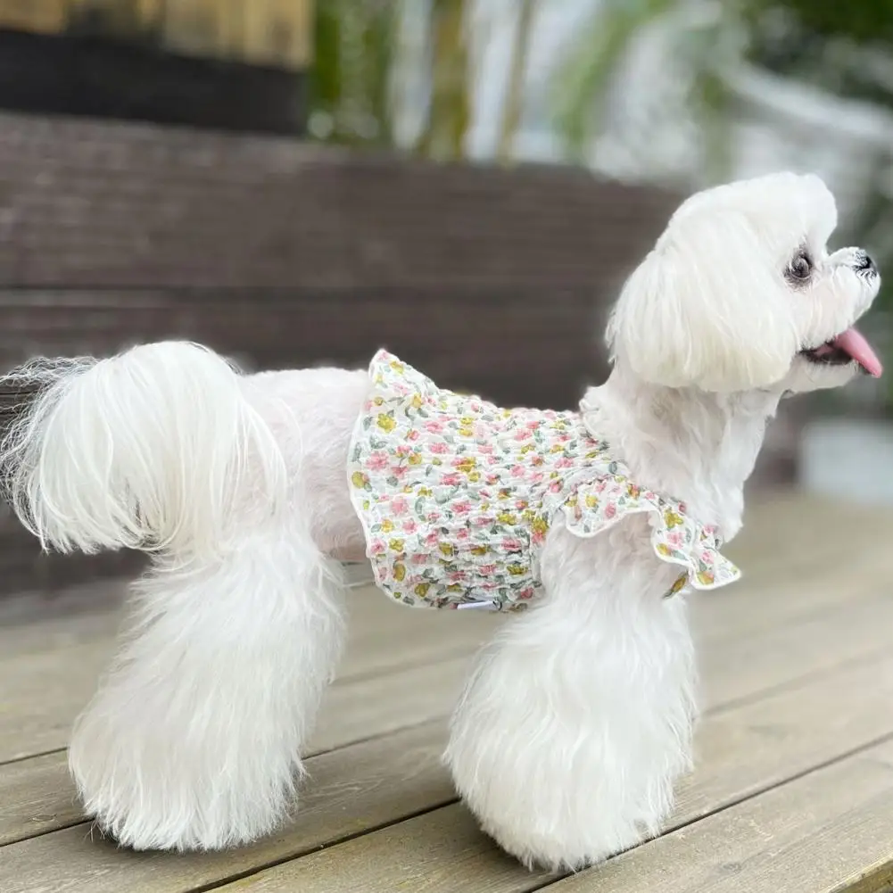 Очаровательная одежда для домашних животных, дышащая рубашка с двухногими цветами и принтом для щенка, реквизит для фотосъемки
Очаровательная одежда для домашних животных, дышащая рубашка с двухногими цветами и принтом для щенка, реквизит для фотосъемки