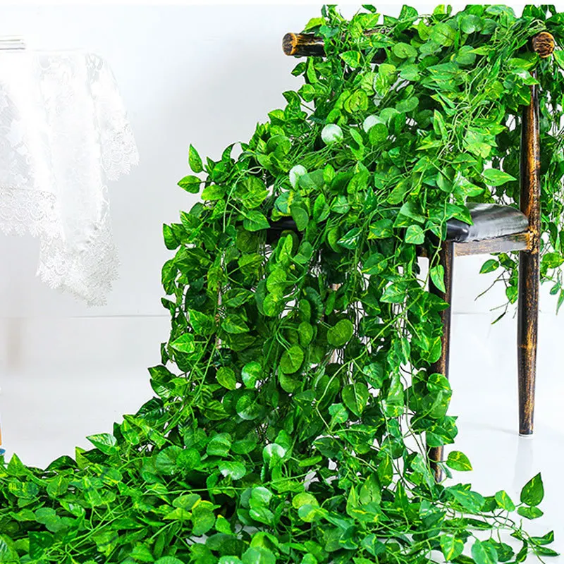 2m Artificial Ivy Rattan with Green Leaves, Custom Hanging Simulation Flower for Indoor/Outdoor Decoration
2m Artificial Ivy Rattan with Green Leaves, Custom Hanging Simulation Flower for Indoor/Outdoor Decoration