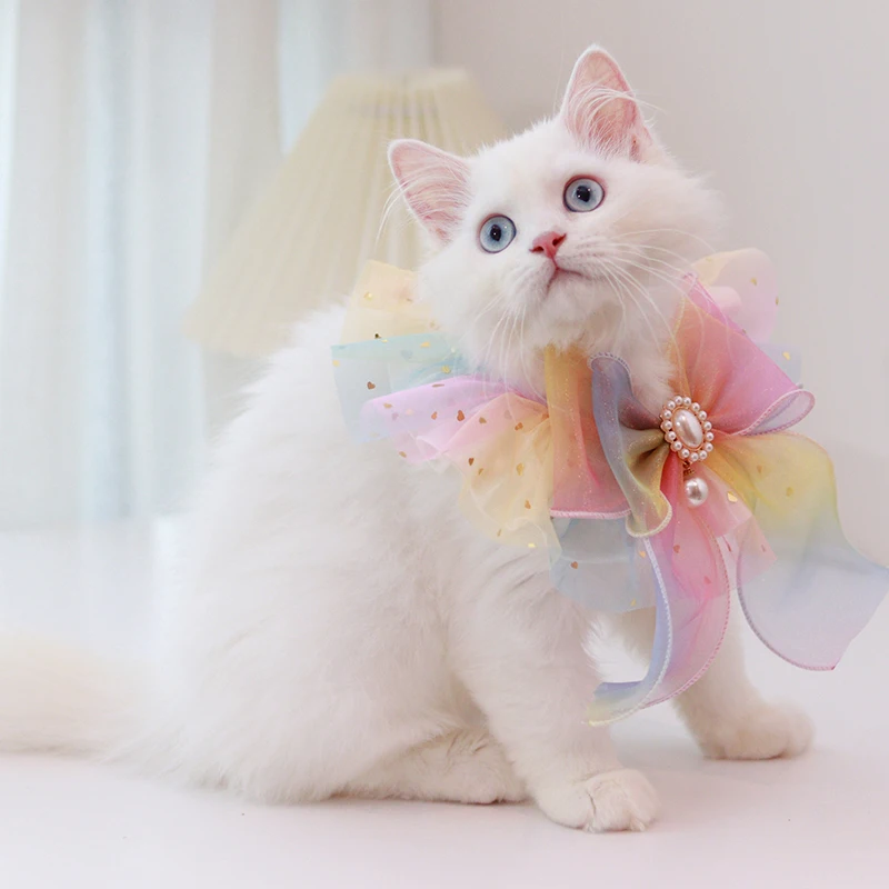 Bling Glitter Pearl Bowknot Dog Collar Bells Organza Jeweled Dog Scarf Pastel Puppy Bows Satin Rainbow New Kitten Bowtie
Bling Glitter Pearl Bowknot Dog Collar Bells Organza Jeweled Dog Scarf Pastel Puppy Bows Satin Rainbow New Kitten Bowtie