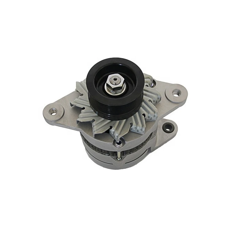 High quality Excavator spare parts engine generator 4D95 20A for PC60-5 Alternator 600-821-3850 0-33000-5510
High quality Excavator spare parts engine generator 4D95 20A for PC60-5 Alternator 600-821-3850 0-33000-5510