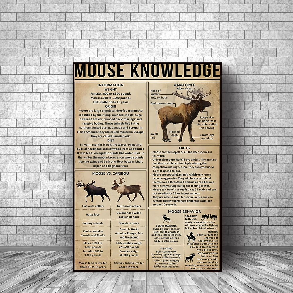 Moose Knowledge Poster Wall Decor Science Educational Anatomy Poster, Home Decor Farm Decor Print
Moose Knowledge Poster Wall Decor Science Educational Anatomy Poster, Home Decor Farm Decor Print