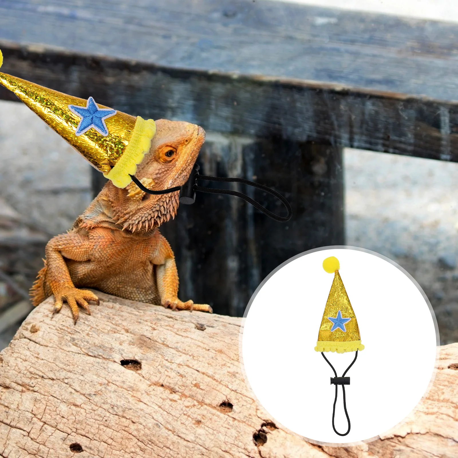 Hat Bearded Dragon Lizard Costume Clothesreptilesanta Christmas Hamster Accessories Tiny Birthday Costumes Hats Pet Party
Hat Bearded Dragon Lizard Costume Clothesreptilesanta Christmas Hamster Accessories Tiny Birthday Costumes Hats Pet Party