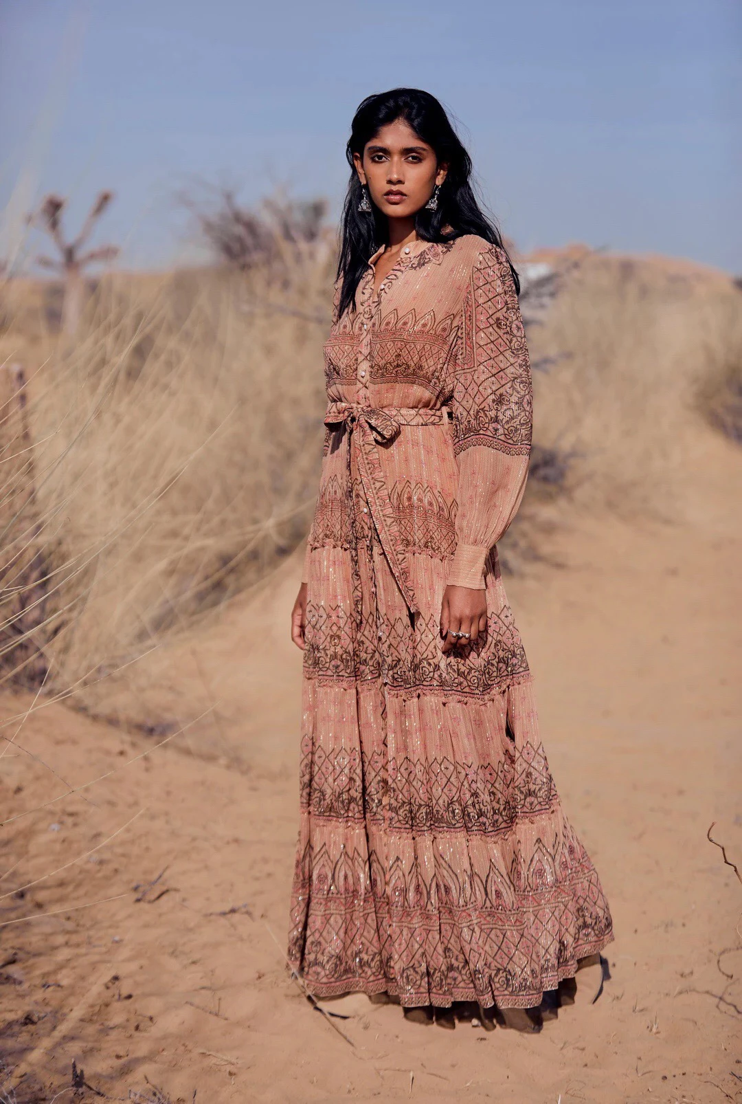 Bohemian Style Ladies Digital Print V-Neck Single Breasted Metal Fiber Maxi Dress
Bohemian Style Ladies Digital Print V-Neck Single Breasted Metal Fiber Maxi Dress