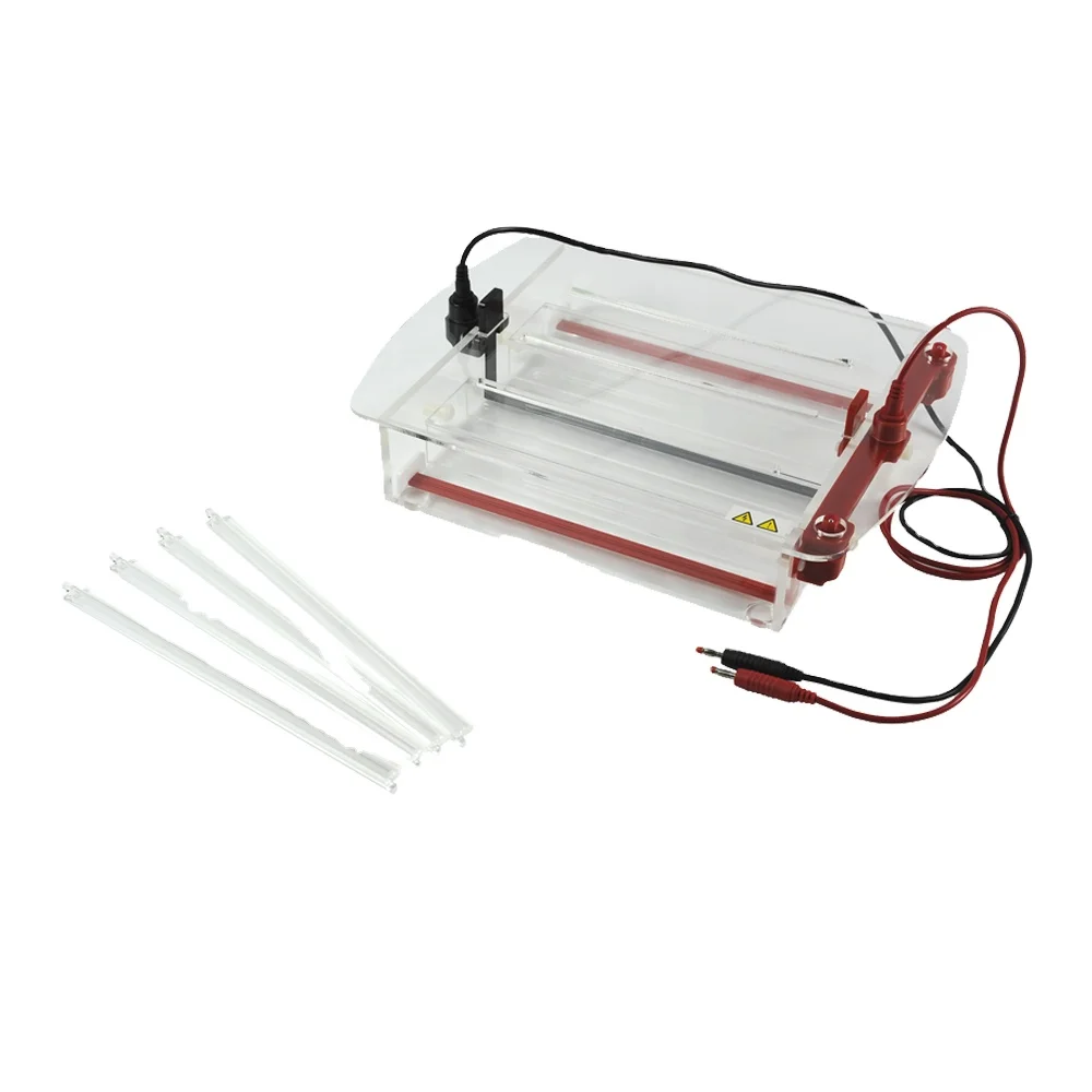 Double Bridge 70/250mm 90/250mm Electrophoresis Machine Laboraotry Horizontal Gel Electrophoresis Apparatus
Double Bridge 70/250mm 90/250mm Electrophoresis Machine Laboraotry Horizontal Gel Electrophoresis Apparatus