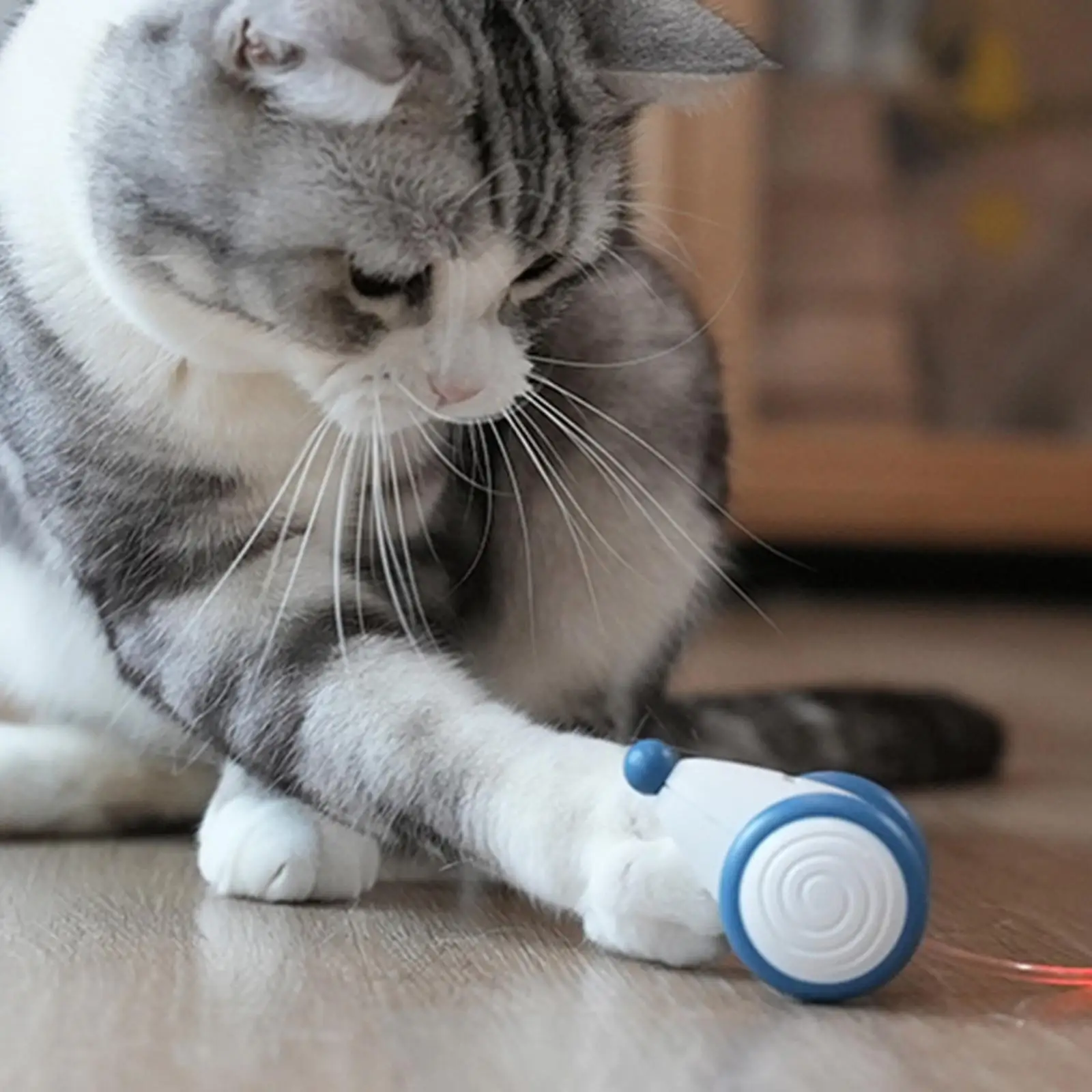 Hot Funny Clockwork Spring Power Plush Mouse Toy Funny Playing S For S Kitten Interactive Ball Toy Ni X8l6
Hot Funny Clockwork Spring Power Plush Mouse Toy Funny Playing S For S Kitten Interactive Ball Toy Ni X8l6