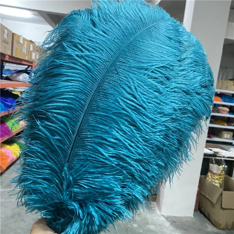 The New 50pcs/lot Fluffy Ostrich Feather 18-20 Inches/45-50cm Party Decoration Accessories Plumas Feathers for Crafts
The New 50pcs/lot Fluffy Ostrich Feather 18-20 Inches/45-50cm Party Decoration Accessories Plumas Feathers for Crafts