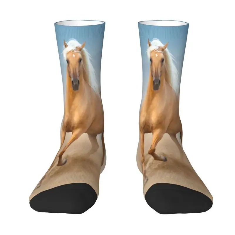 Мужские и женские носки с испанской лошадью для бега
Мужские и женские носки с испанской лошадью для бега