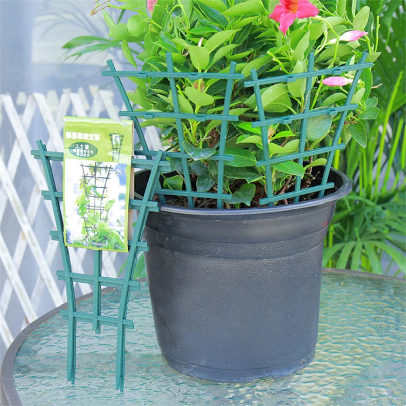 DIY Garden Plant Support Vine Frame Vine Bracket Flower Stand Pot Bracket Shelf Climbing Flower Fixed Plant Growth Direction
DIY Garden Plant Support Vine Frame Vine Bracket Flower Stand Pot Bracket Shelf Climbing Flower Fixed Plant Growth Direction