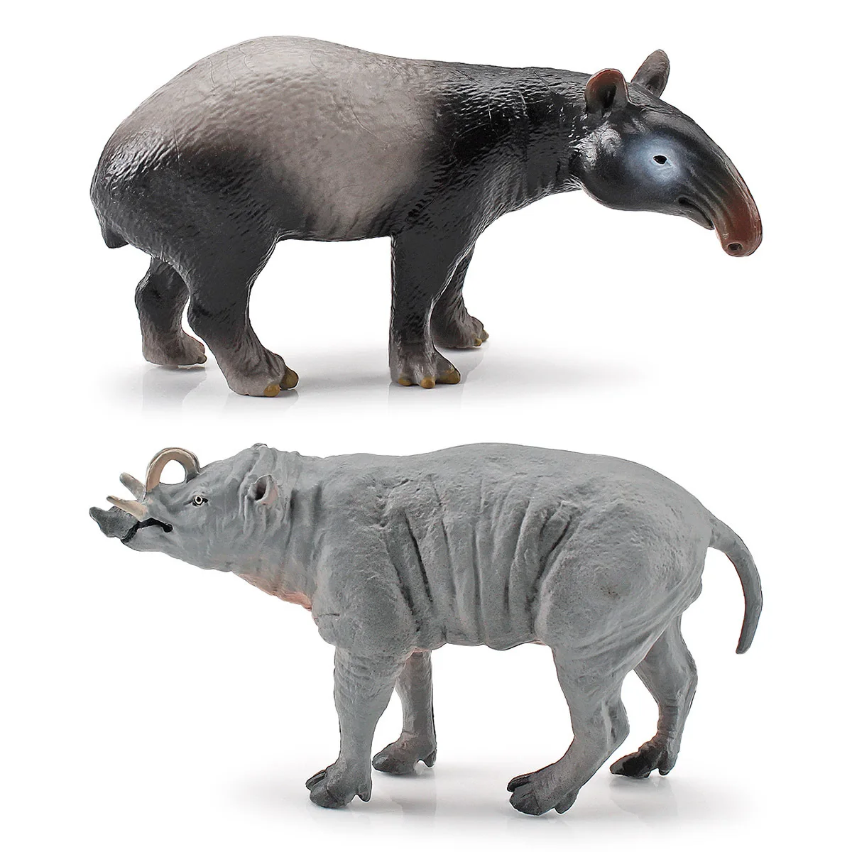 

Tropical rainforest endangered animal: Malay tapir deer dolphin model, static forest cognitive ornaments
