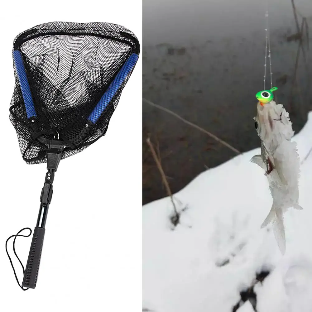 Fishing Net Easy To Carry Lightweight Wear-resistant Portable Dense Holes Catch Fish Nylon Retractable Telescoping For Outdoor
Fishing Net Easy To Carry Lightweight Wear-resistant Portable Dense Holes Catch Fish Nylon Retractable Telescoping For Outdoor