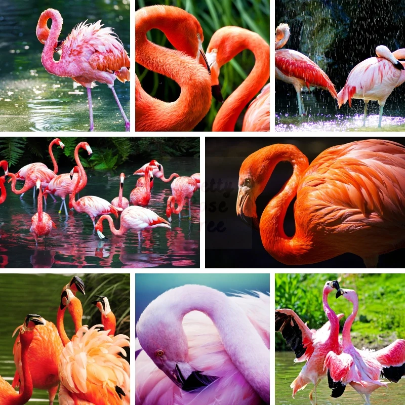 5D DIY Flamingo Diamond Painting Art Lovely Birds Animal Protection Natural Scenery Fashion Home Decor Craft Kits Novelties
5D DIY Flamingo Diamond Painting Art Lovely Birds Animal Protection Natural Scenery Fashion Home Decor Craft Kits Novelties