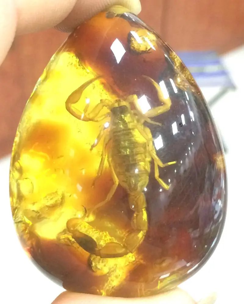 Сертификат, натуральный мексиканский янтарь Янтарь из воска, кулон скорпион 44*59*23 мм
Сертификат, натуральный мексиканский янтарь Янтарь из воска, кулон скорпион 44*59*23 мм