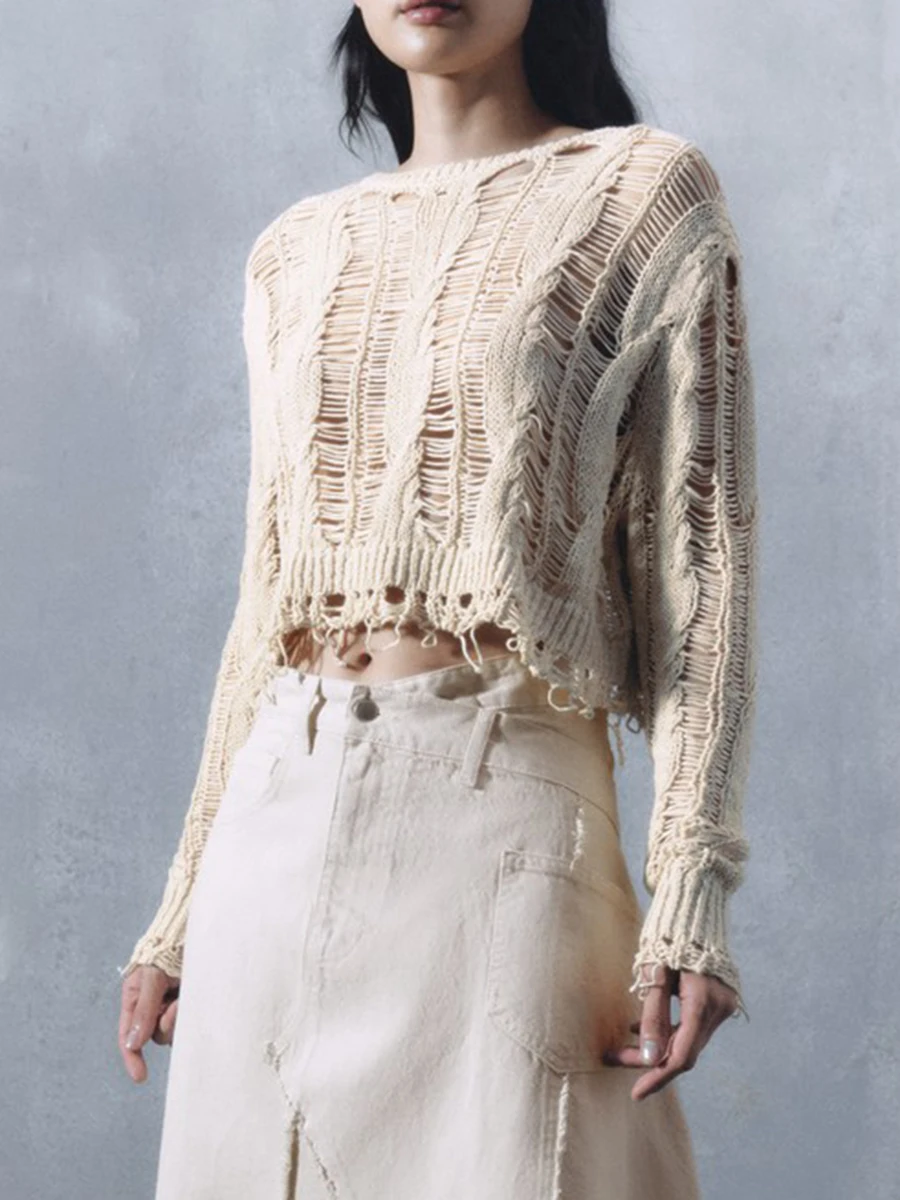 Однотонный Модный женский свитер с перфорацией, топы, приталенный укороченный топ с круглым вырезом и длинным рукавом, вязаная одежда, повседневная Уличная одежда, женская одежда 2023
Однотонный Модный женский свитер с перфорацией, топы, приталенный укороченный топ с круглым вырезом и длинным рукавом, вязаная одежда, повседневная Уличная одежда, женская одежда 2023