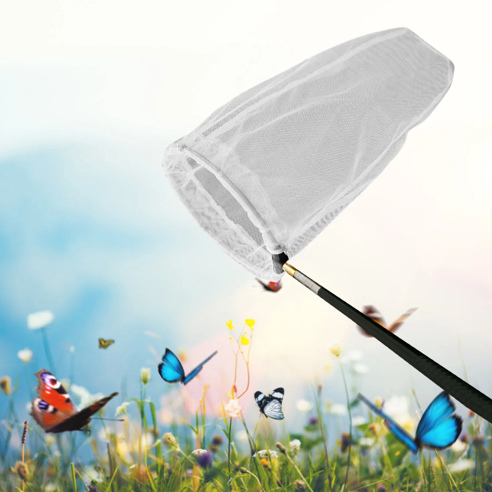 Folding Stainless Steel Insect Net Telescopic Widely Durable Fishing Accessories Lure Carp Butterflies Exploration Tear-proof
Folding Stainless Steel Insect Net Telescopic Widely Durable Fishing Accessories Lure Carp Butterflies Exploration Tear-proof