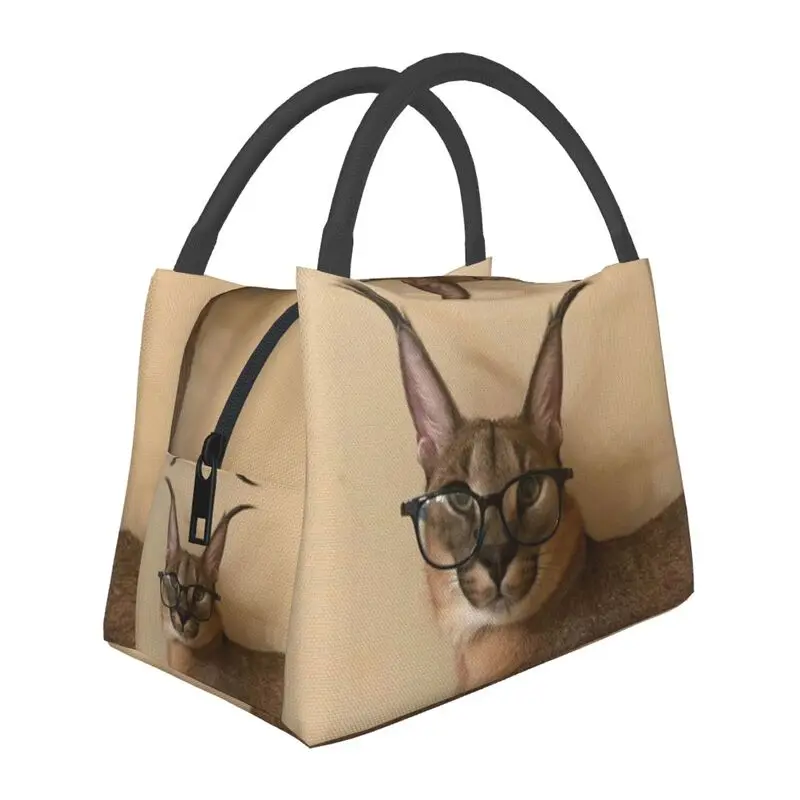 Studious Floppa Insulated Lunch Bag for Outdoor Picnic Meme Cat Portable Cooler Thermal Lunch Box Women
Studious Floppa Insulated Lunch Bag for Outdoor Picnic Meme Cat Portable Cooler Thermal Lunch Box Women