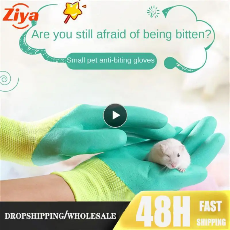 Изысканное мастерство исполнения. Удобный и гибкий Тренировочный Набор из нитрилового каучука, резиновые перчатки, перчатки против укусов 
Изысканное мастерство исполнения. Удобный и гибкий Тренировочный Набор из нитрилового каучука, резиновые перчатки, перчатки против укусов