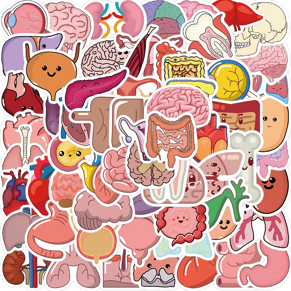 50pcs Cartoon Brain Organ Stickers For Phone Stationery Guitar Scrapbook Craft Supplies Science Sticker Scrapbooking Materiales 
50pcs Cartoon Brain Organ Stickers For Phone Stationery Guitar Scrapbook Craft Supplies Science Sticker Scrapbooking Materiales