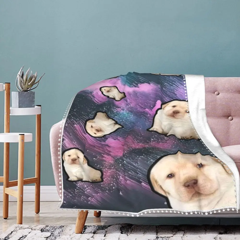 Chihuahua Sad Dogs Funny Dog Throw Plush Blankets Puppies Luxury Gift Soft Sherpa Fleece Blanket Soft Warm Blanket Dropshipping
Chihuahua Sad Dogs Funny Dog Throw Plush Blankets Puppies Luxury Gift Soft Sherpa Fleece Blanket Soft Warm Blanket Dropshipping