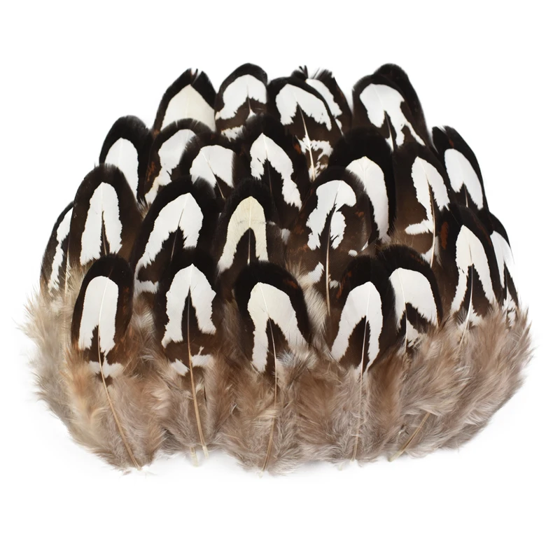 Natural Small Pheasant Feathers for Jewelry Making Creation 3-7cm DIY Handicraft Accessories Chicken Dream Catcher Feather Decor
Natural Small Pheasant Feathers for Jewelry Making Creation 3-7cm DIY Handicraft Accessories Chicken Dream Catcher Feather Decor