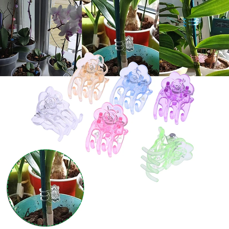 20/50/60Pcs 6 Color Phalaenopsis Special Clip Plastic Orchid Clip Garden Support Clip Orchid Plant Vine Support Garden Accessory 
20/50/60Pcs 6 Color Phalaenopsis Special Clip Plastic Orchid Clip Garden Support Clip Orchid Plant Vine Support Garden Accessory