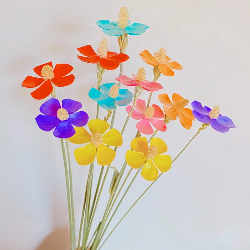 Dried Violet Flower Preserved Bouquet Wedding Home Decor for Photo Props Decoration DIY Dry Flower Home Decor Gift Bouquet
Dried Violet Flower Preserved Bouquet Wedding Home Decor for Photo Props Decoration DIY Dry Flower Home Decor Gift Bouquet