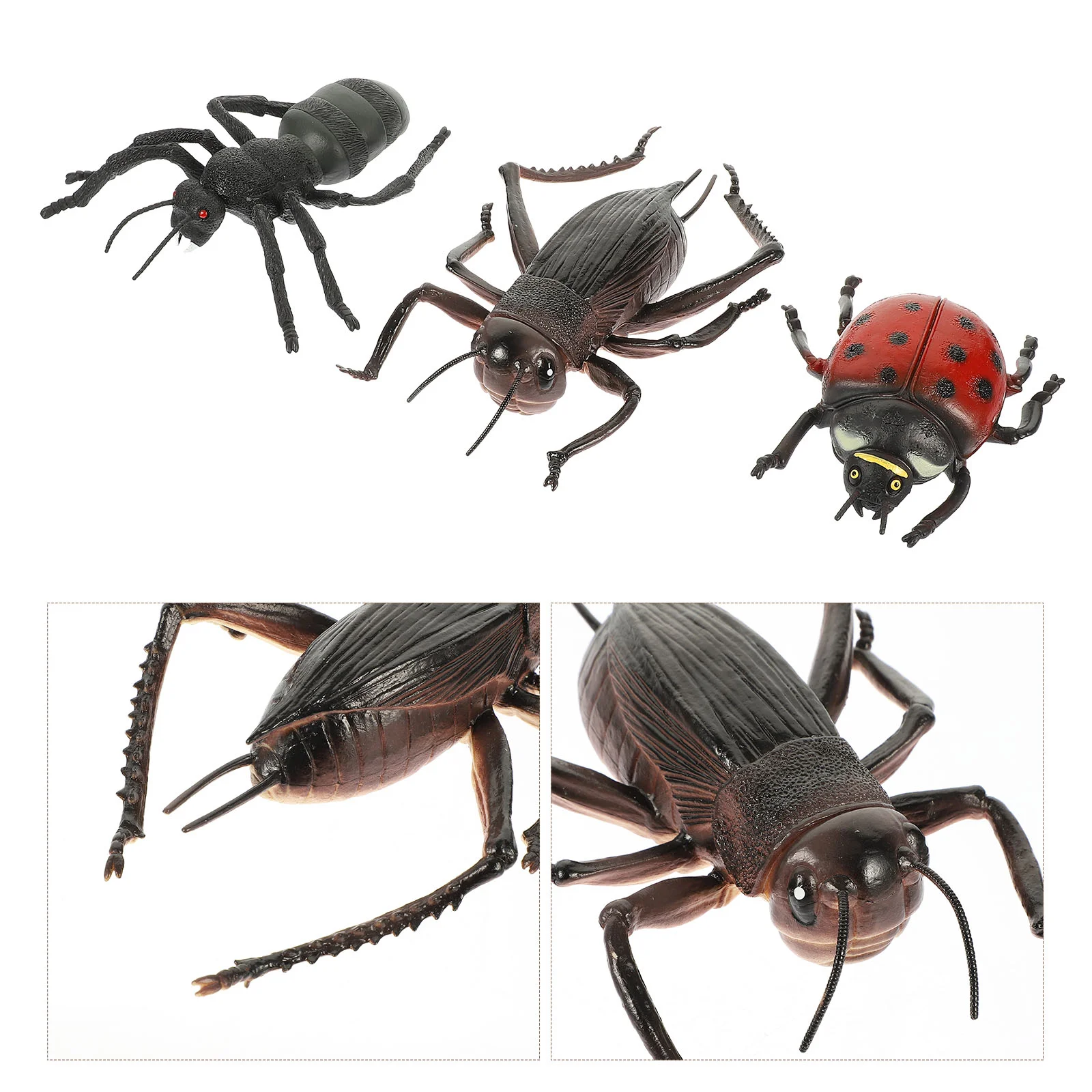 Model Animal Insect Decoration Ant Insects Toy Ornament Desktop Toys Simulation Figures Fake Kiddecorative Pot Flower Education
Model Animal Insect Decoration Ant Insects Toy Ornament Desktop Toys Simulation Figures Fake Kiddecorative Pot Flower Education