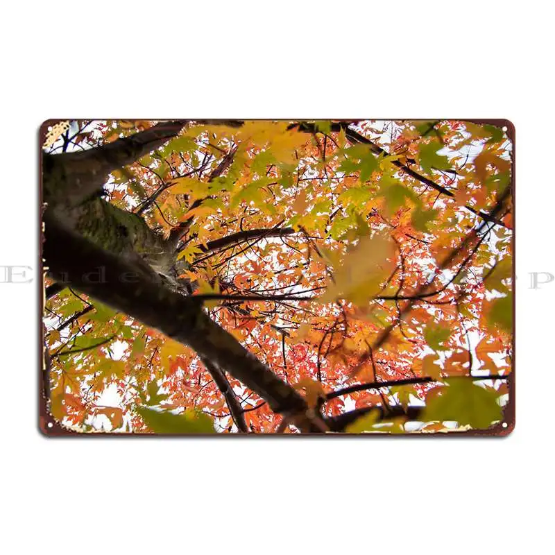 Красивый Осенний цветной металлический знак ржавый гараж дизайнерский персонализированный клубный жестяной знак плакат
Красивый Осенний цветной металлический знак ржавый гараж дизайнерский персонализированный клубный жестяной знак плакат